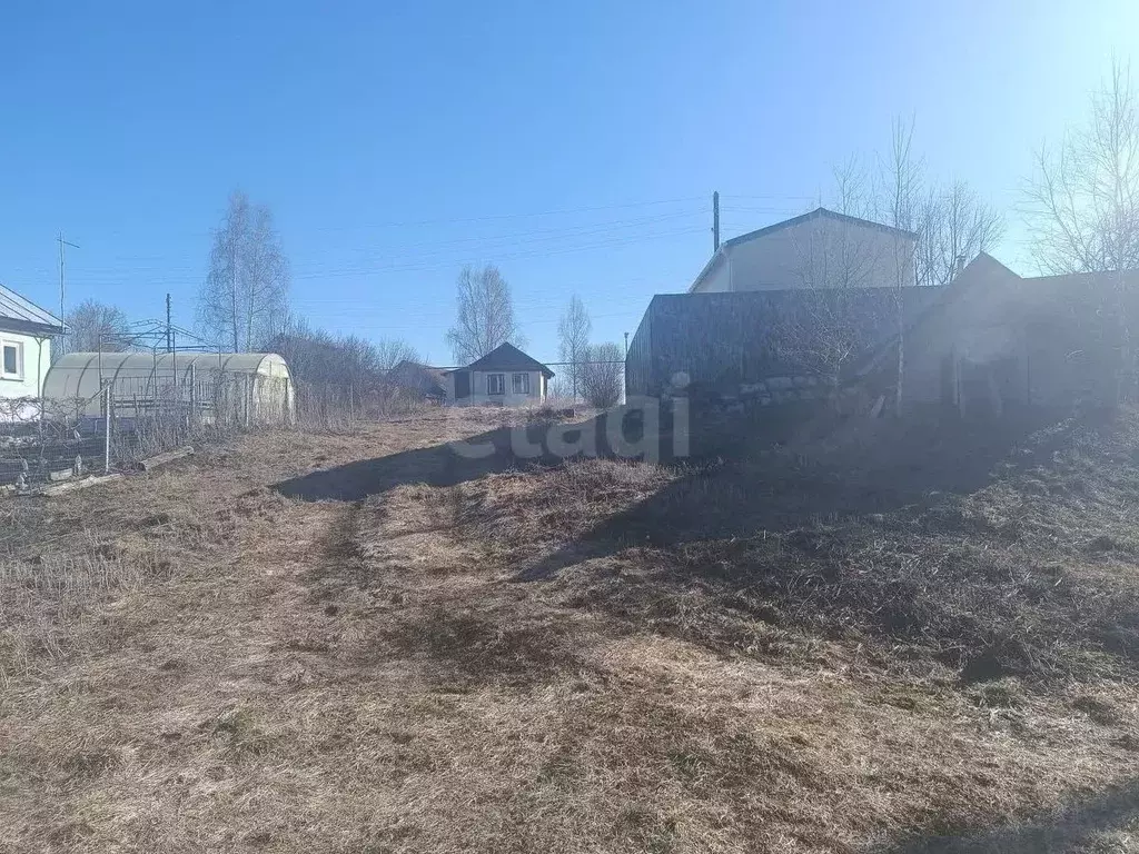 Участок в Нижегородская область, Арзамас городской округ, с. Криуша ... - Фото 2