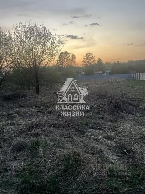 Участок в Нижегородская область, Бор муниципальный округ, д. Ильинское ... - Фото 1