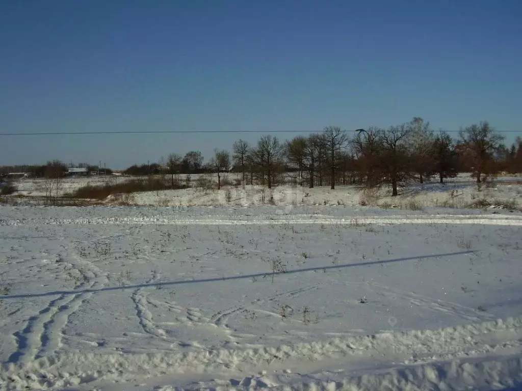 Участок в Хабаровский край, Комсомольский район, с. Новый Мир Лесная ... - Фото 1