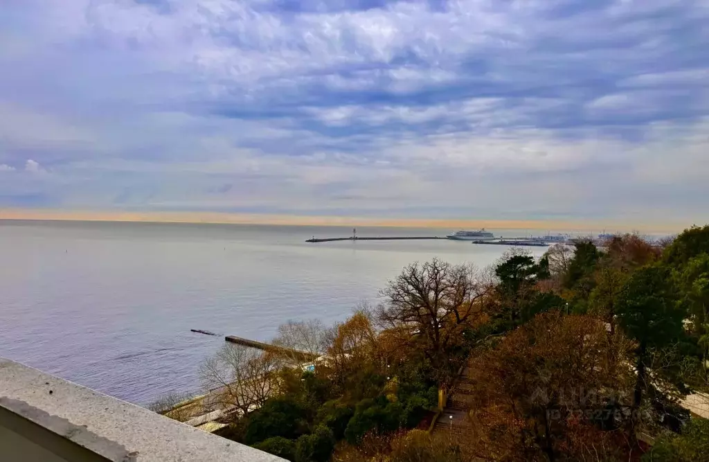 2-к кв. Краснодарский край, Сочи ул. Черноморская, 3 (41.0 м) - Фото 1