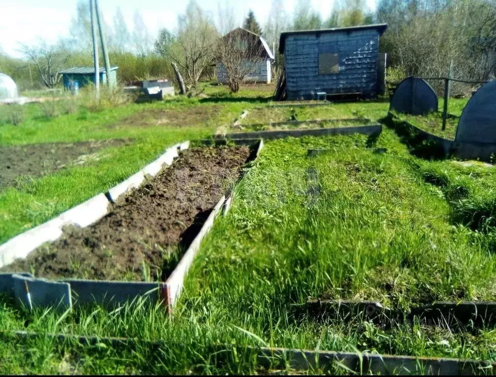 Участок в Вологодская область, Сокольский муниципальный округ, д. ... - Фото 1
