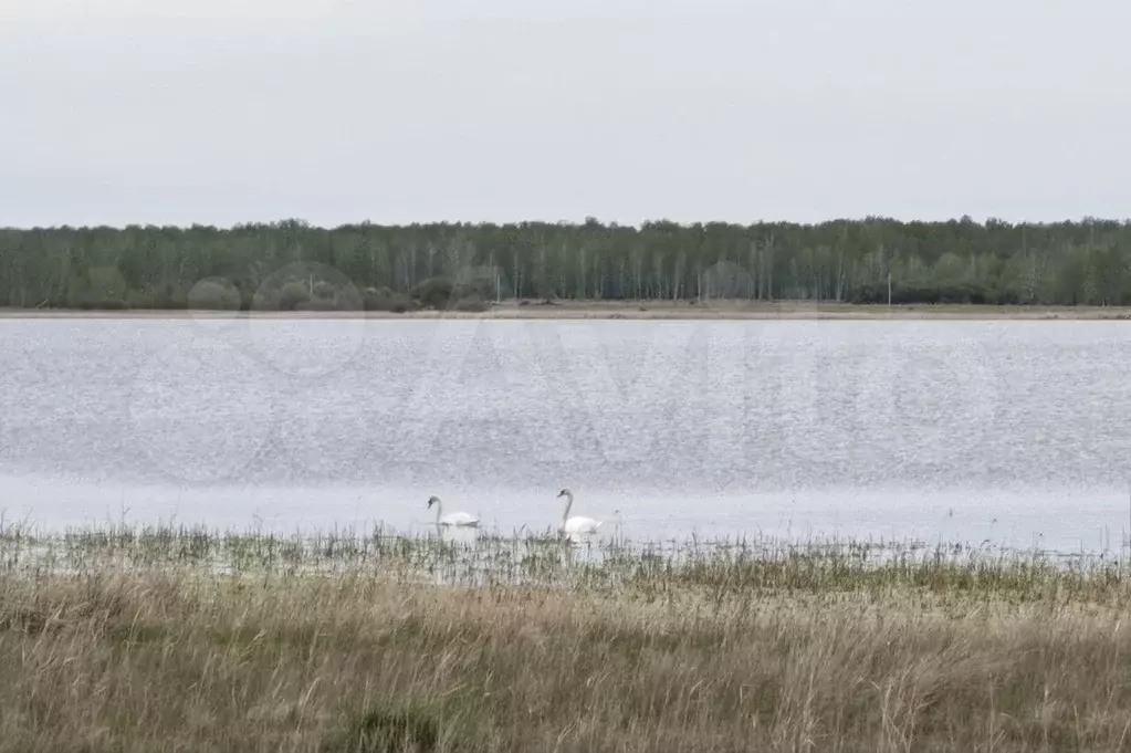 Участок 10,2 сот. (СНТ, ДНП) - Фото 0