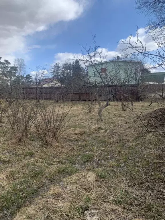 Участок в Санкт-Петербург Малахит СНТ, ул. Лесная, 26 (10.0 сот.) - Фото 1