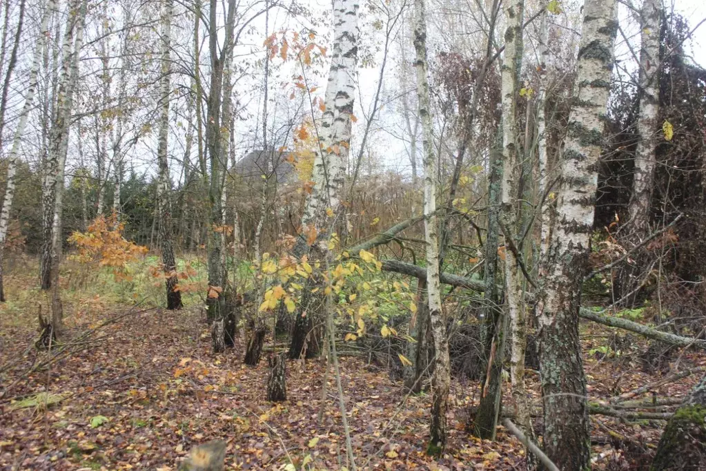 Участок в Москва пос. Рогово, ул. Заречная, 68 (9.89 сот.) - Фото 2