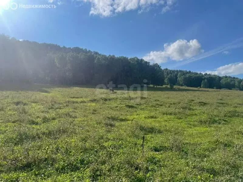 Участок в село Бирюля, Светлая улица (10 м) - Фото 2