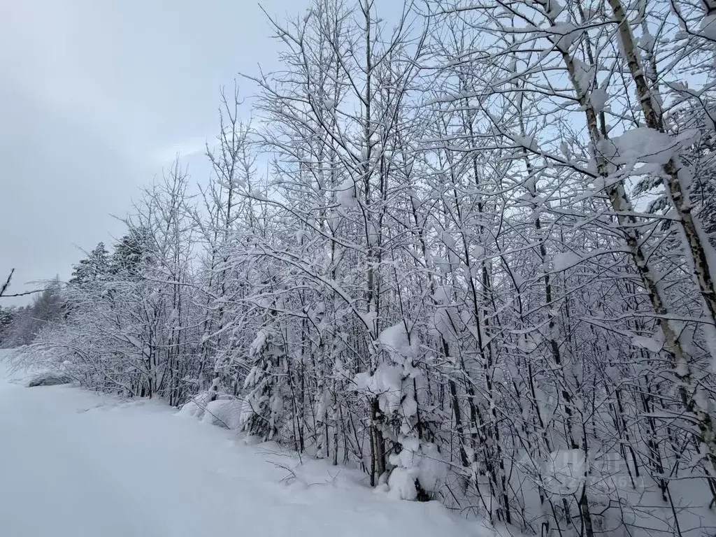 Участок в Коми, Корткеросский район, Посад СДТ 1-я линия (10.24 сот.) - Фото 1