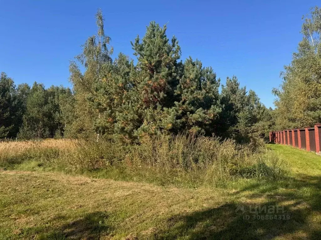 Участок в Московская область, Щелково городской округ, д. Соколово, ... - Фото 1