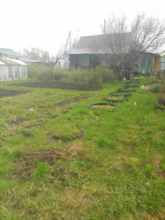 Дом в Нижегородская область, Городецкий муниципальный округ, с. Зиняки ... - Фото 1