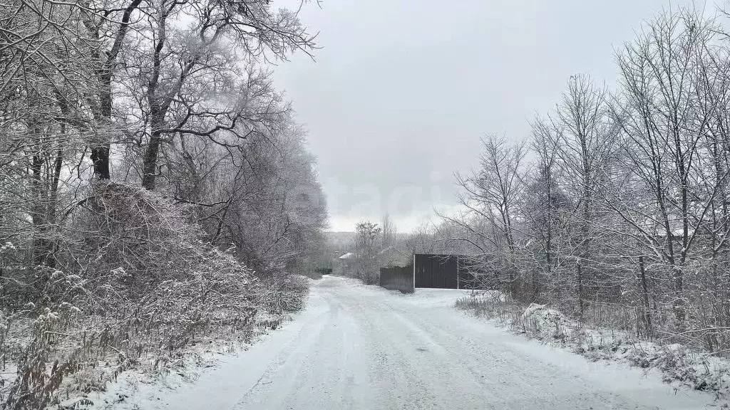 Участок в Тульская область, Тула муниципальное образование, д. ... - Фото 1