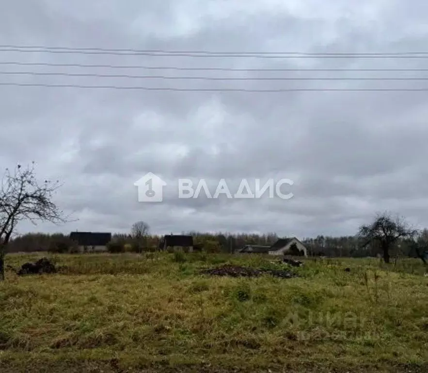 Участок в Ленинградская область, Гатчинский муниципальный округ, д. ... - Фото 1