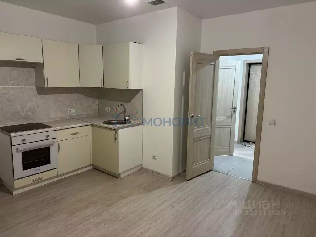 1-к кв. Нижегородская область, Нижний Новгород д. Анкудиновка, ул. ... - Фото 0