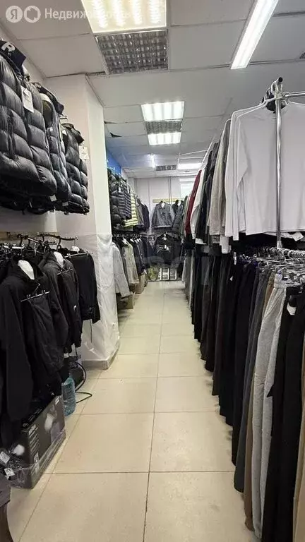 Помещение свободного назначения (45.3 м) - Фото 2