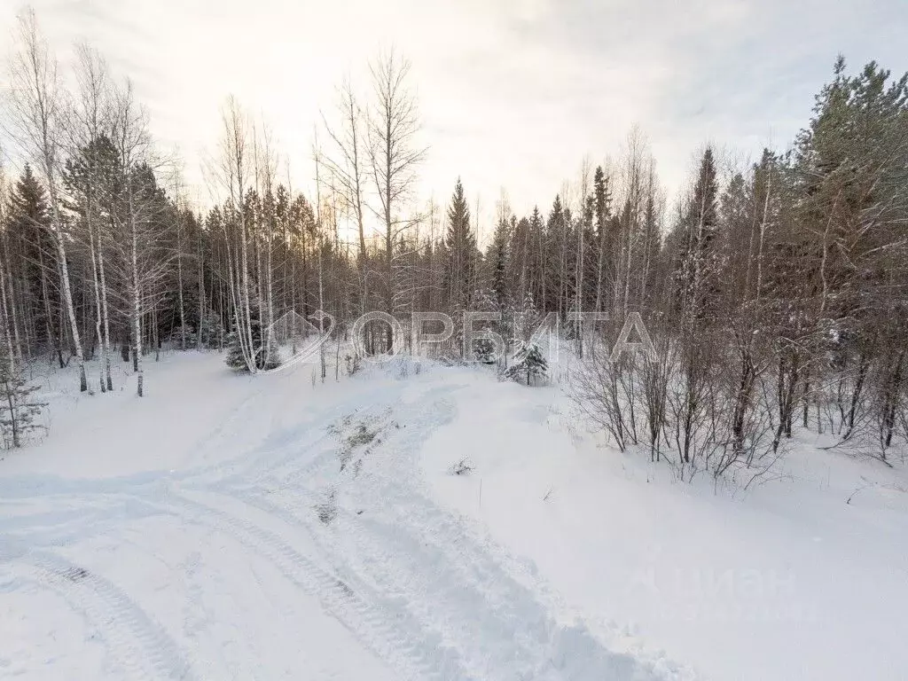 Участок в Тюменская область, Нижнетавдинский район, Аракчино СНТ ул. ... - Фото 1