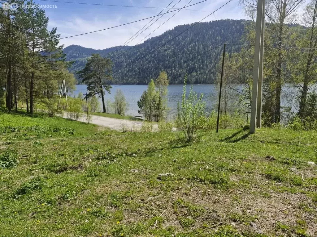 Участок в село Артыбаш, Телецкая улица (8 м) - Фото 0