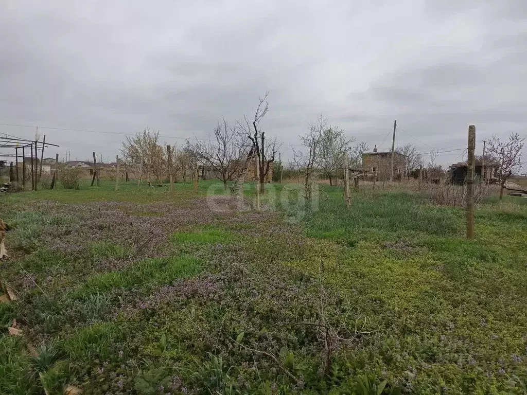 Участок в Крым, Сакский район, с. Орехово, Овощевод СНТ ул. Озерная ... - Фото 1