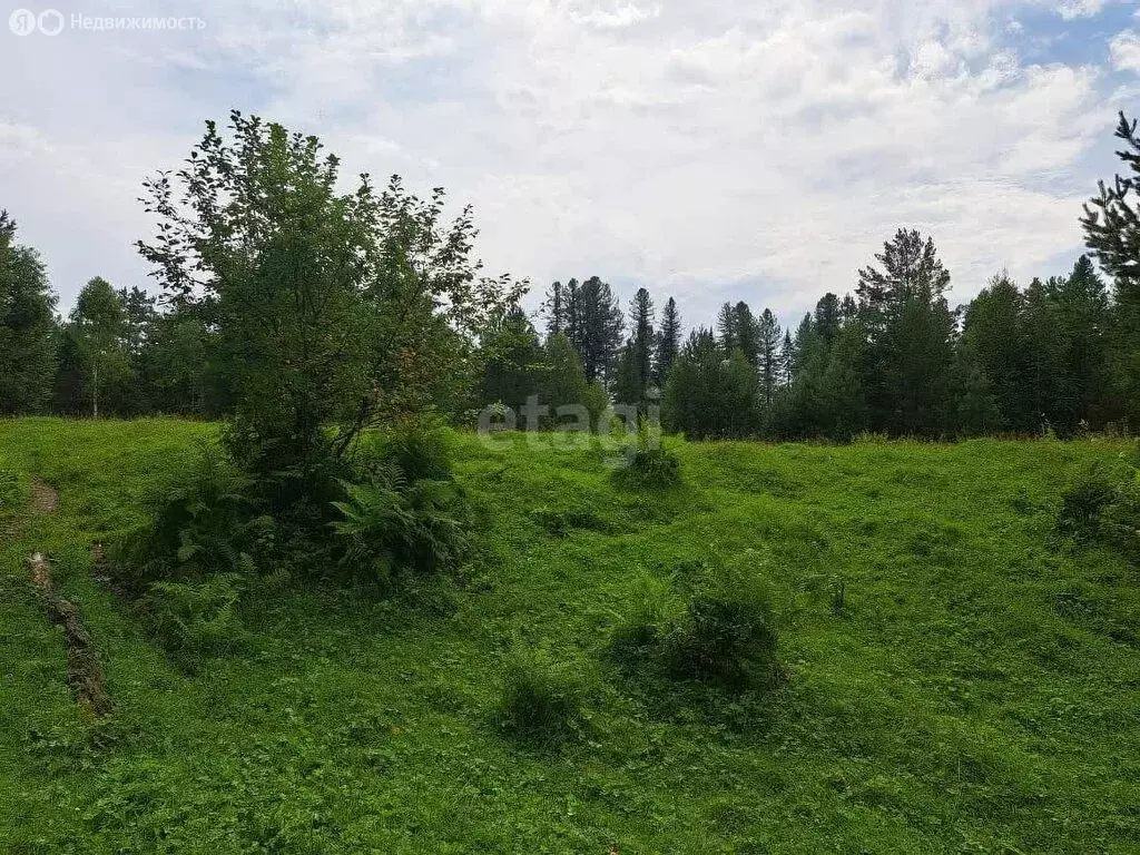 Участок в Турочакский район, село Кебезень (560.2 м) - Фото 2