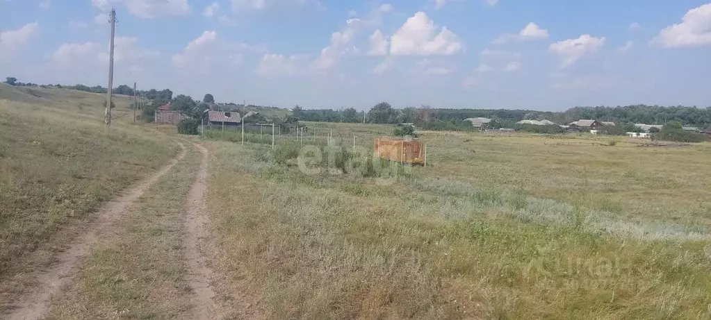 участок в воронежская область, борисоглебский городской округ, с. . - Фото 0