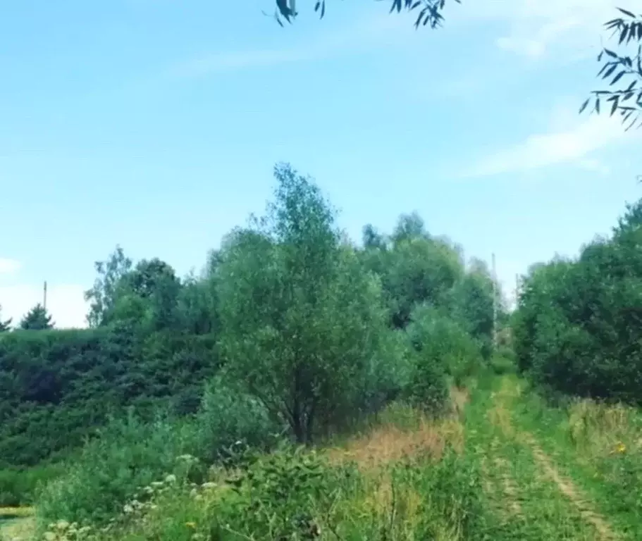 Участок в Калужская область, Боровский муниципальный округ, д. ... - Фото 1