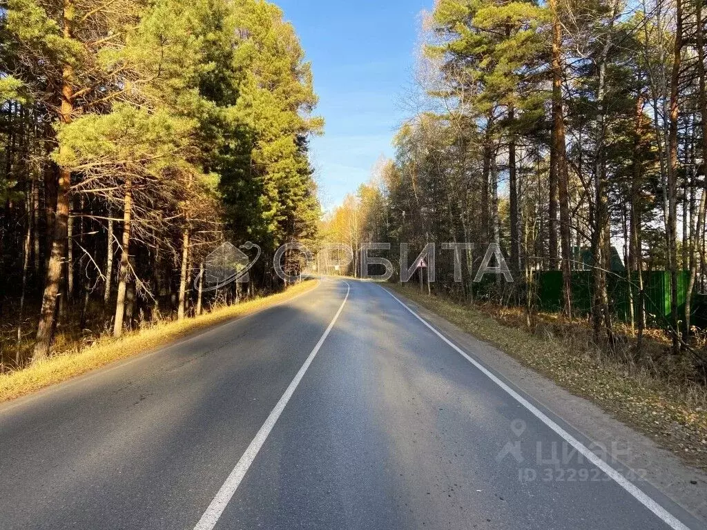 Участок в Тюменская область, Нижнетавдинский муниципальный округ, ... - Фото 1