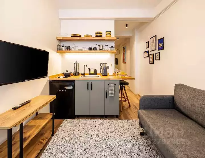 1-к кв. Краснодарский край, Сочи Курортный просп., 105 (38.0 м) - Фото 2