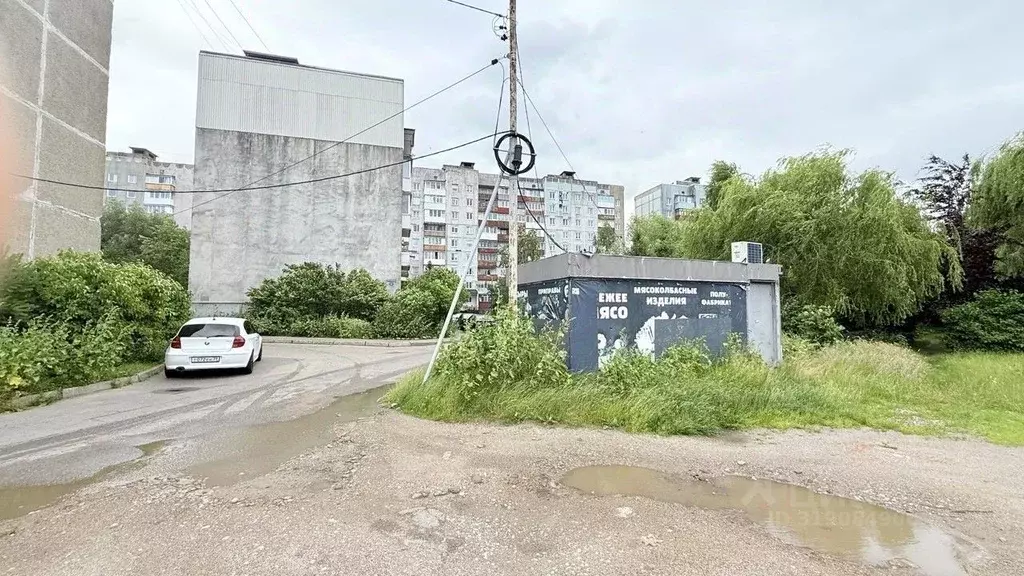 Торговая площадь в Калининградская область, Калининград ул. Генерала ... - Фото 1