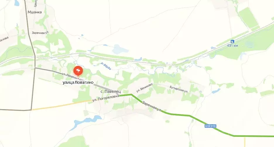 Участок в Рязанская область, Скопинский район, Павелецкое городское ... - Фото 2