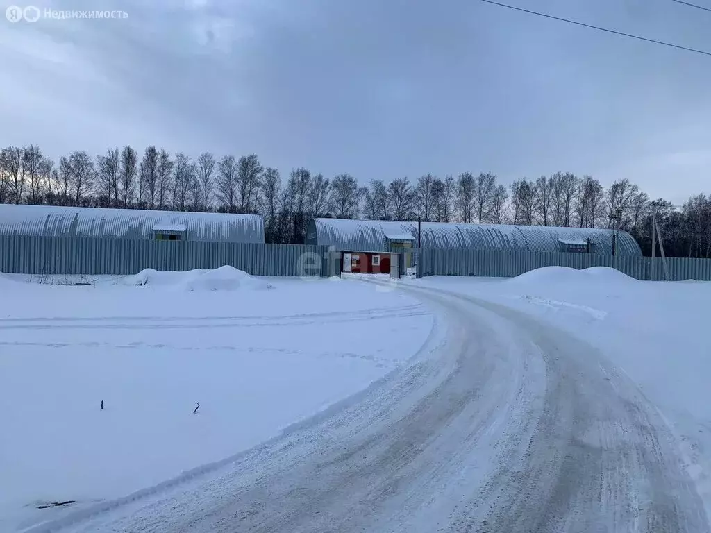 Помещение свободного назначения (1155 м) - Фото 0