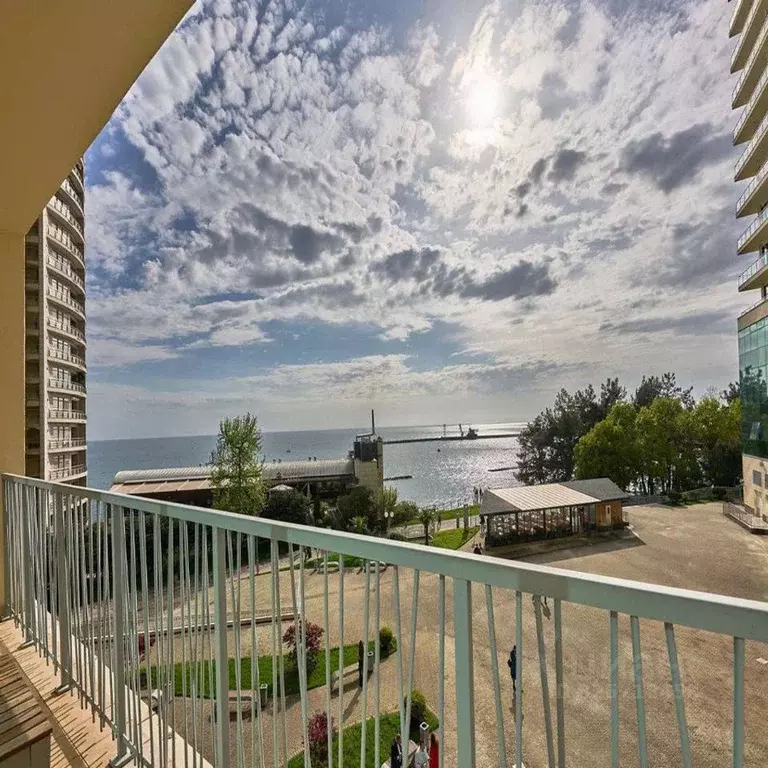 1-к кв. Краснодарский край, Сочи Центральный мкр, ул. Орджоникидзе, ... - Фото 1