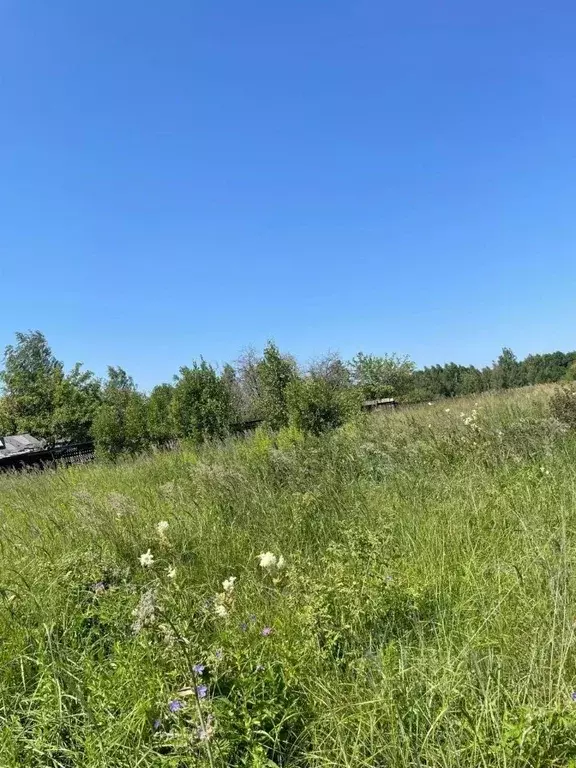 Участок в Владимирская область, Собинский муниципальный округ, д. ... - Фото 2