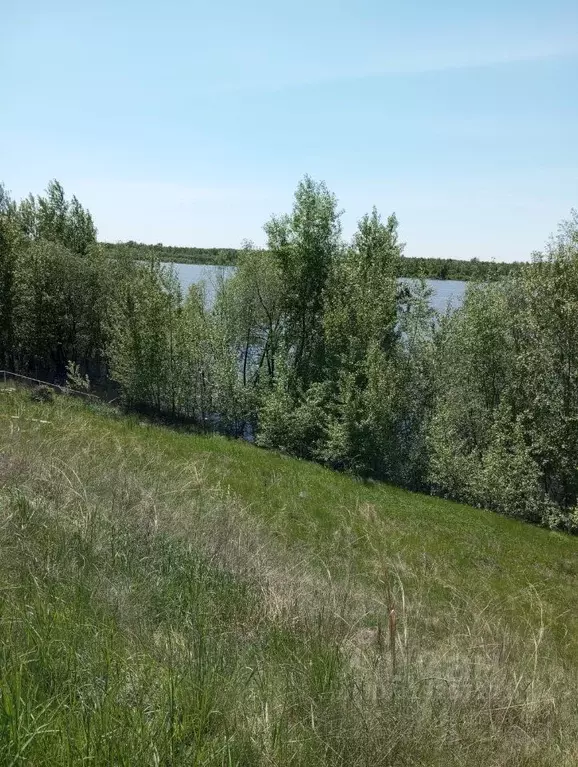 Участок в Омская область, Омский район, с. Усть-Заостровка, Сад СНТ  ... - Фото 0