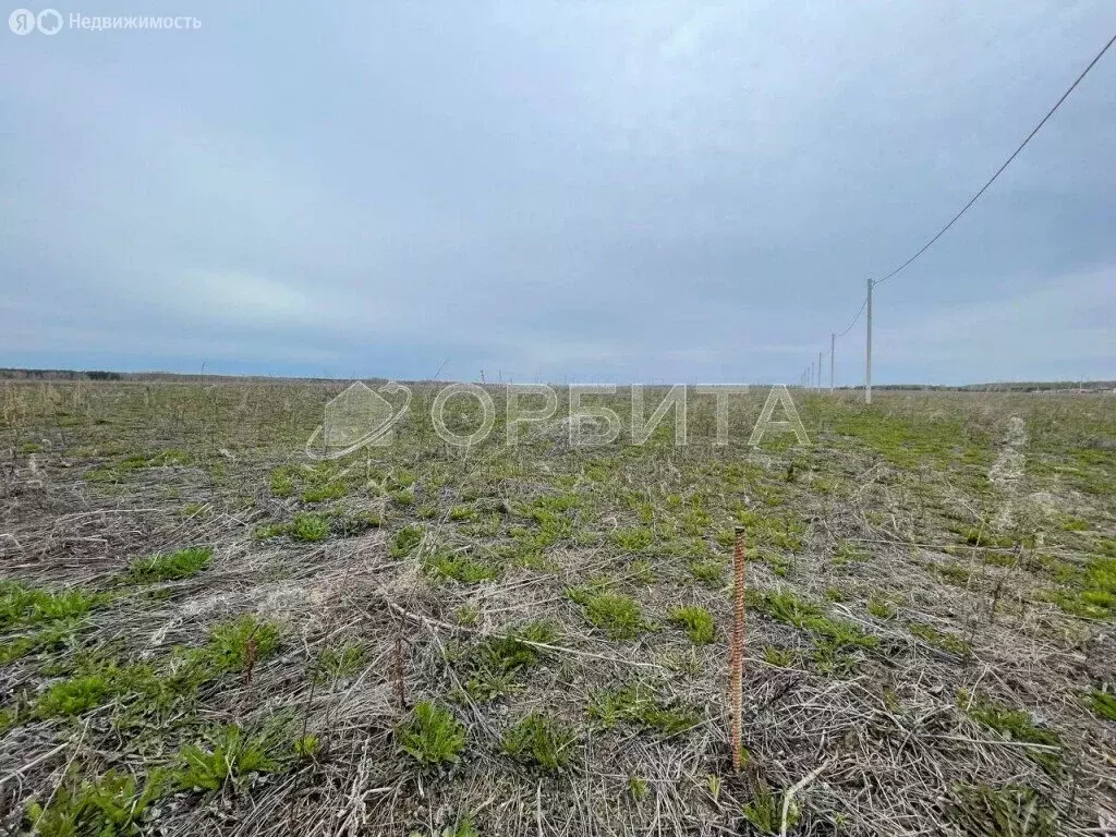 Участок в посёлок городского типа Тугулым, Южная улица (15.02 м) - Фото 1