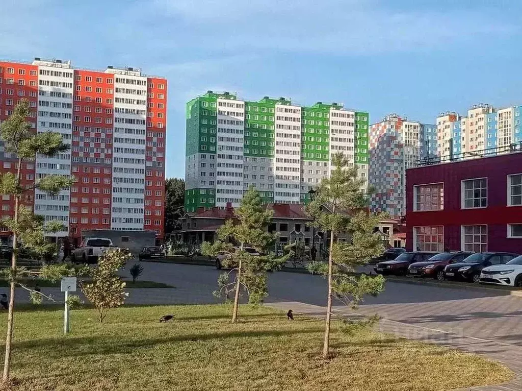 1-к кв. Тверская область, Тверь Новочеркасская ул., 49 (37.7 м) - Фото 1