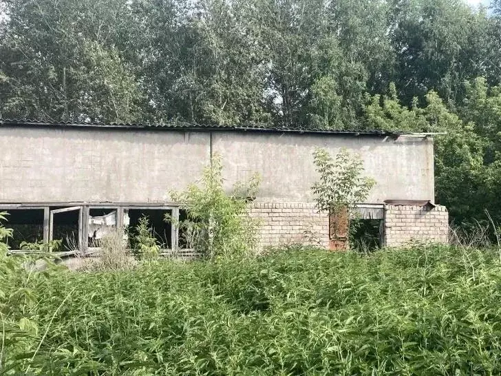 Помещение свободного назначения в Челябинская область, Сосновский ... - Фото 0