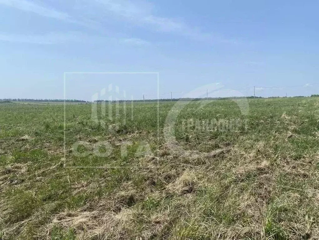 Участок в Воронежская область, Рамонский район, Новоживотинновское ... - Фото 2