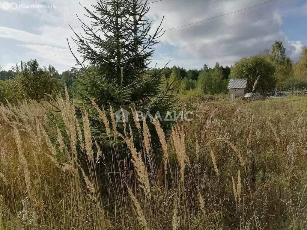 Участок в Бараки, Светлая улица (7.99 м) - Фото 2