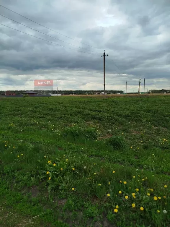 Участок в Рязанская область, Захаровский муниципальный округ, д. ... - Фото 2