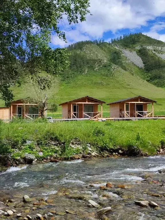 Дом в Алтай, Онгудайский район, с. Хабаровка Северная ул., 43 (18 м) - Фото 1