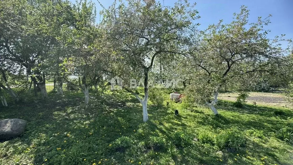 3-к кв. Калининградская область, Неманский муниципальный округ, пос. ... - Фото 2