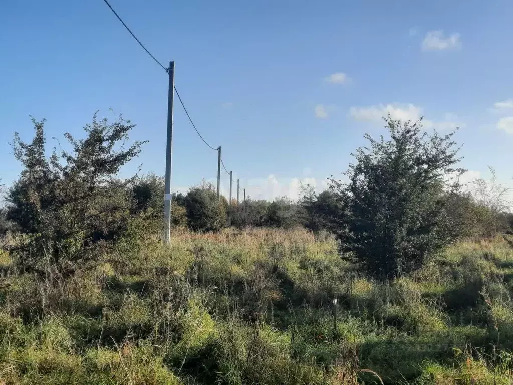 Участок в Калининградская область, Гурьевский муниципальный округ, ... - Фото 1