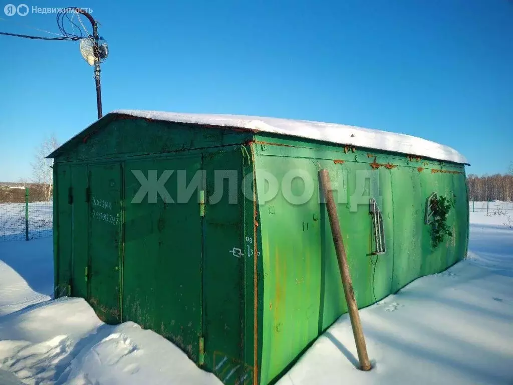 Участок в Новосибирская область, Коченёвский муниципальный район, ... - Фото 2