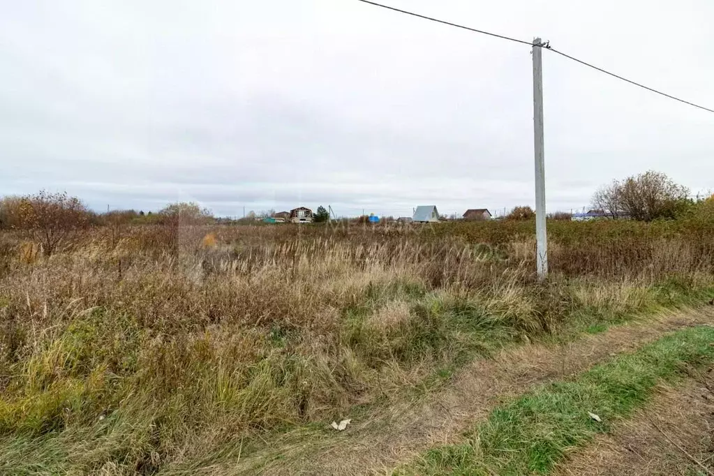 Участок в Тюменская область, Тюмень Рябинка-2 садовое товарищество,  ... - Фото 1