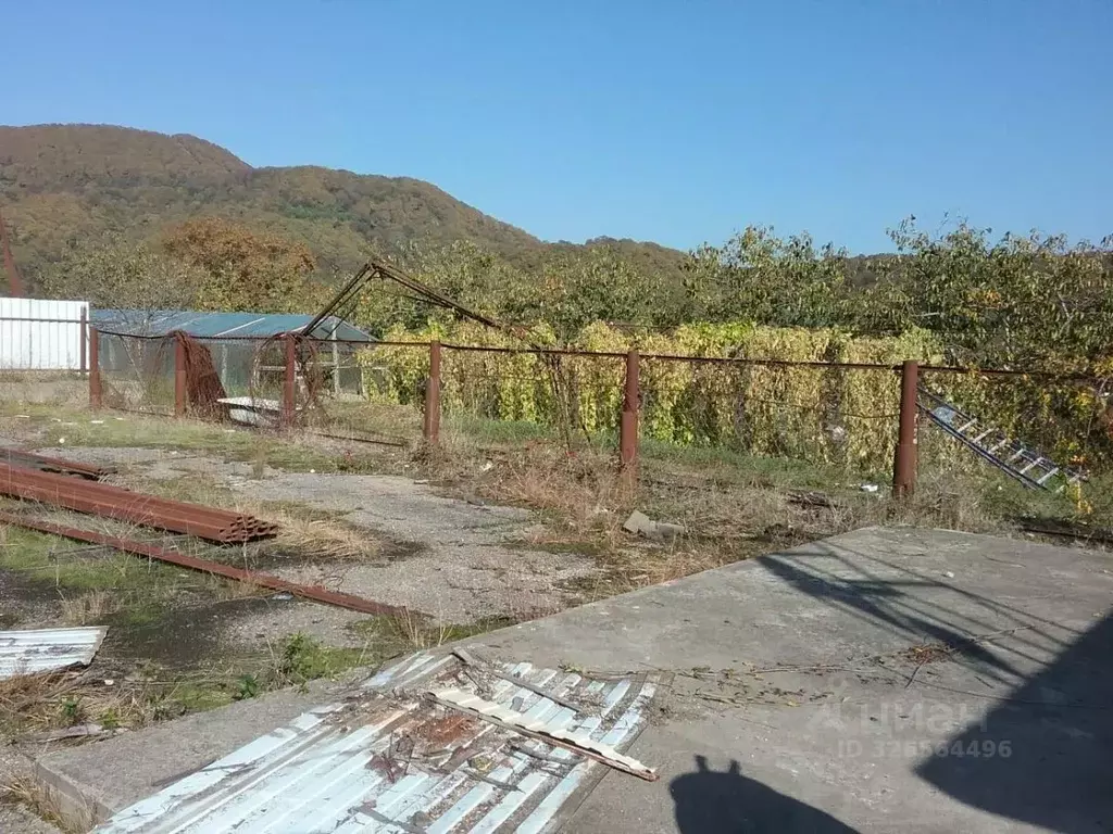 Участок в Краснодарский край, Сочи городской округ, с. Верхний Юрт ул. ... - Фото 1