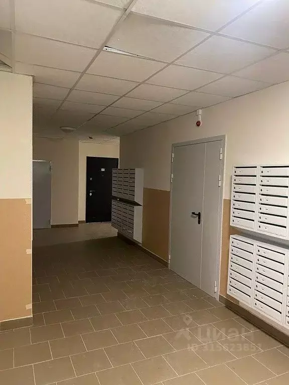 1-к кв. Новосибирская область, Новосибирск Закаменский мкр, 13 (41.7 ... - Фото 1
