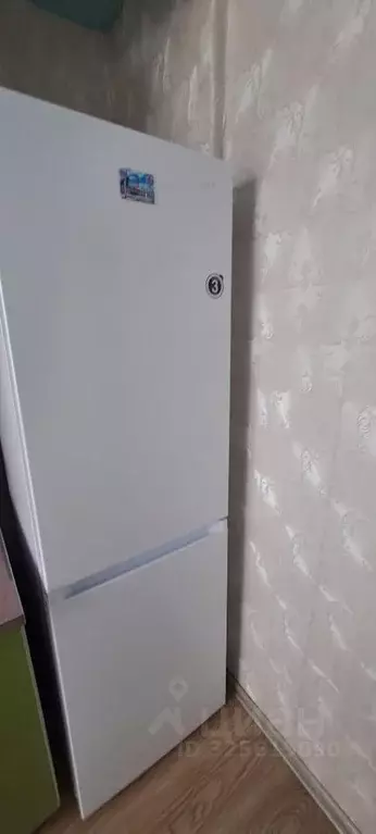 2-к кв. Новосибирская область, Новосибирск ул. Бердышева, 5 (47.0 м) - Фото 2