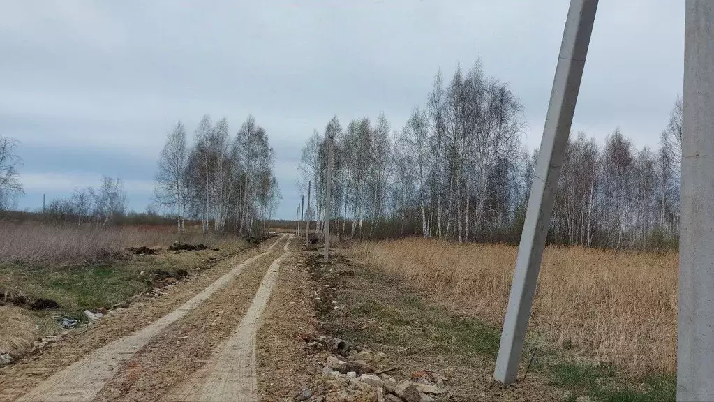 Участок в Тюменская область, Тюменский район, Новотарманское ... - Фото 0