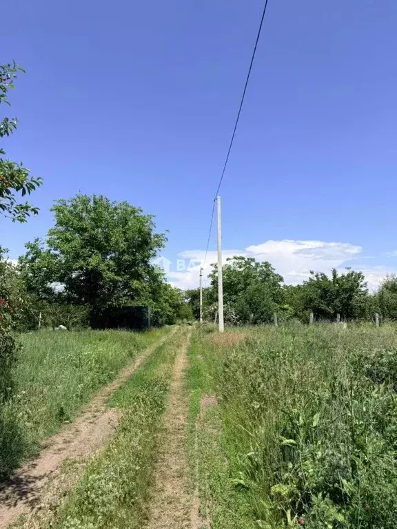 Участок в Белгородская область, Корочанский муниципальный округ, ... - Фото 1