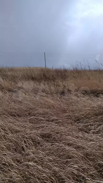 Участок 10 сот. (СНТ, ДНП) - Фото 1
