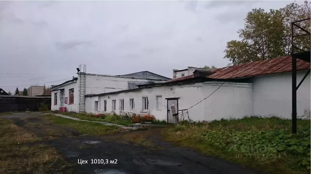 Помещение свободного назначения в Челябинская область, Кыштым ул. ... - Фото 1