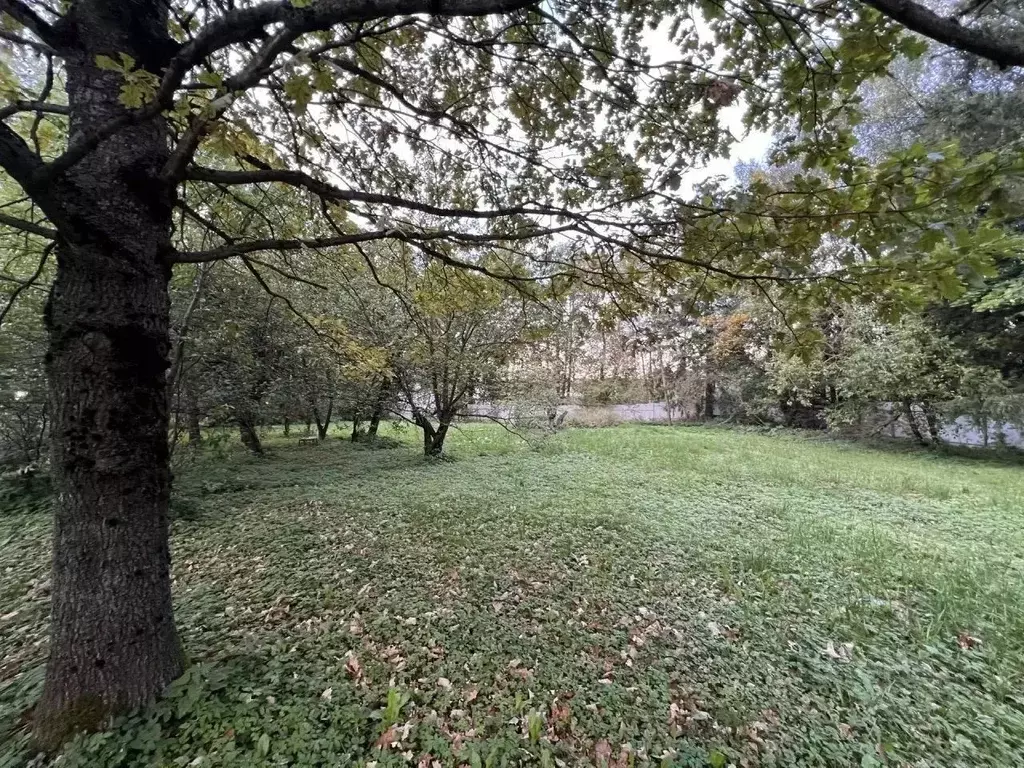 Участок в Московская область, Химки Сходня мкр, Удачное кв-л, вл5 ... - Фото 2