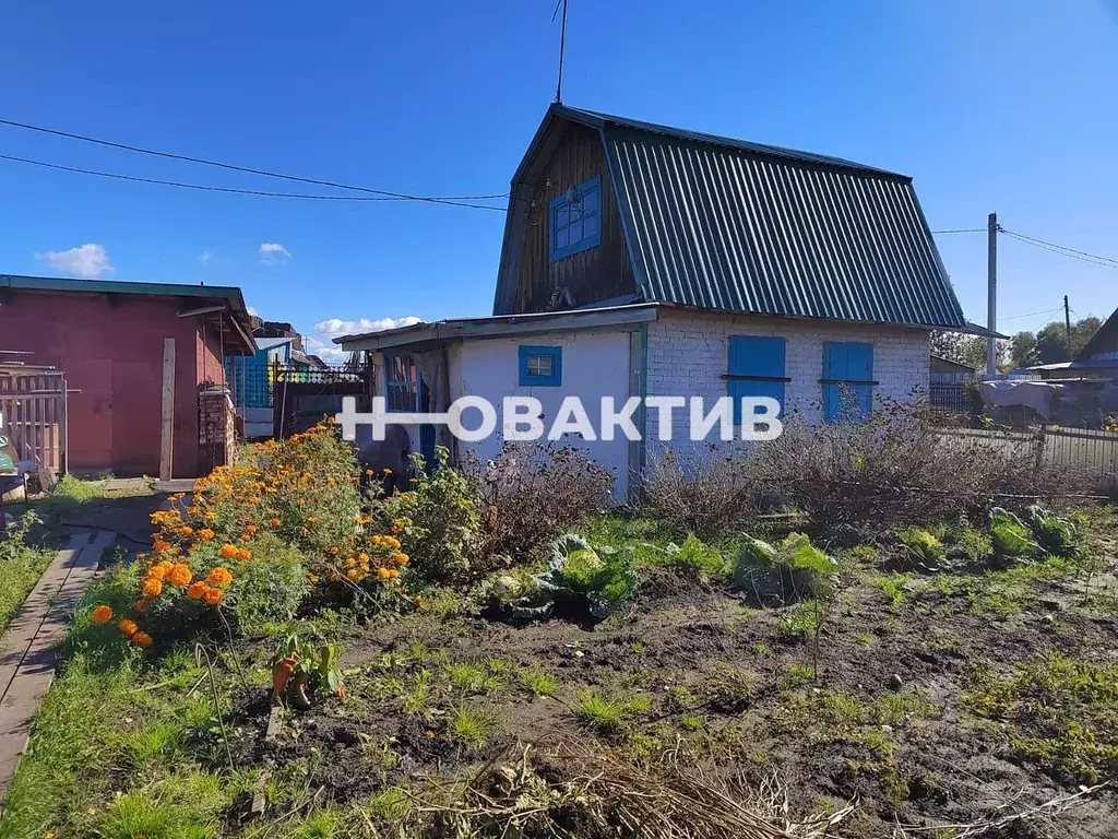 Дом в Новосибирская область, Новосибирск Рассвет садовое товарищество, ... - Фото 0